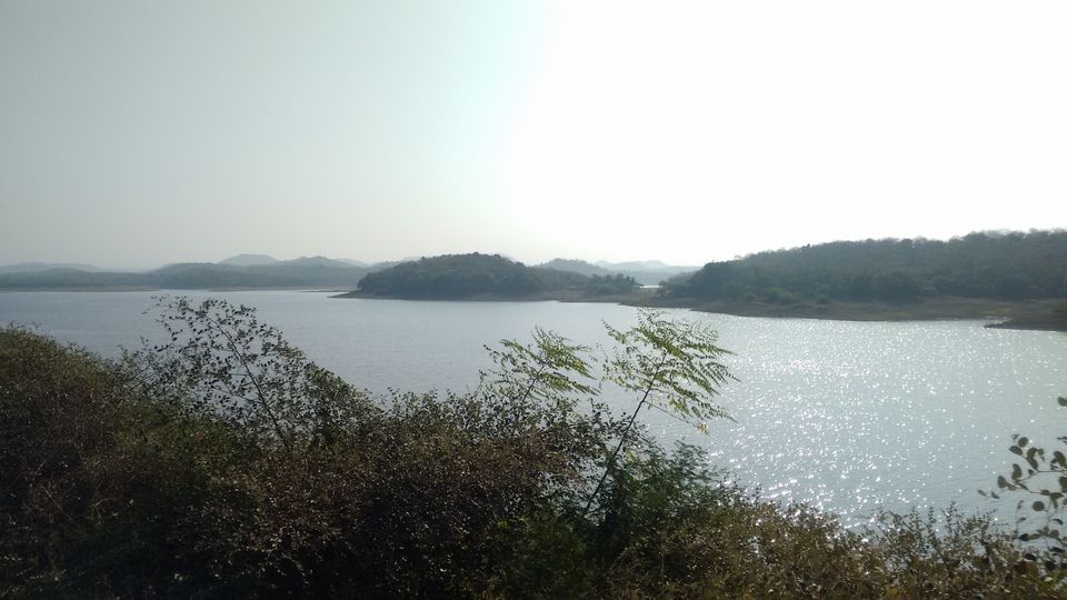 Photo of Best of Gujrat's nature in a weekend by Chirag Panpalia