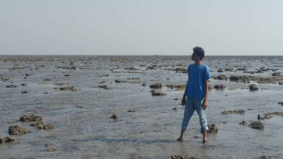 Photo of Narara Reef, Dwarka, Gujarat, India by Chirag Panpalia