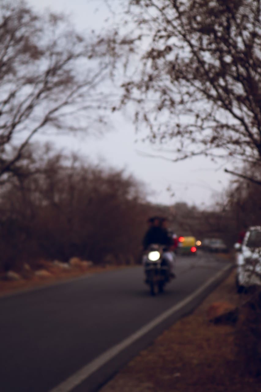 Photo of Lest We Forget... OR How I Reconnected with My Family on a Random January Morning in Jaipur by Manu Pratap Singh