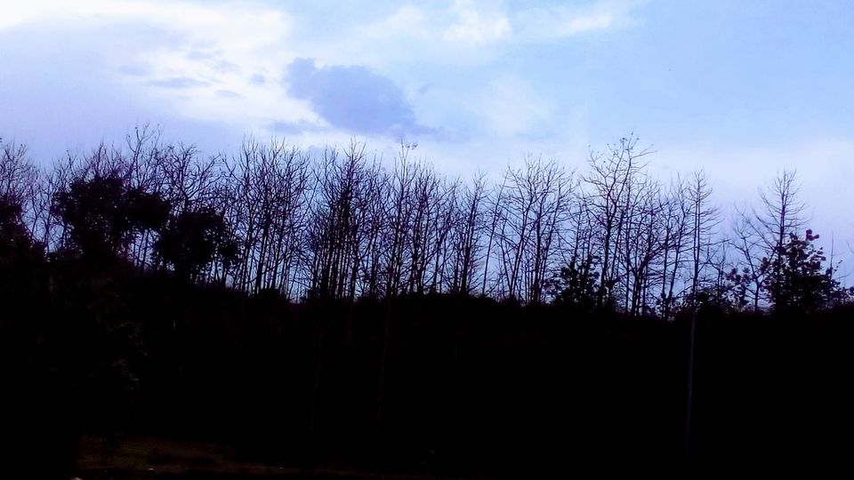 Photo of A Beautiful Sun-Parched Summer of Jabalpur by Saheli Bera