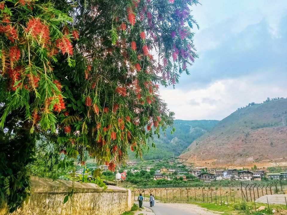 Photo of Bhutan: Let's Swipe a Smile Clean off Carbon 8/11 by Saheli Bera