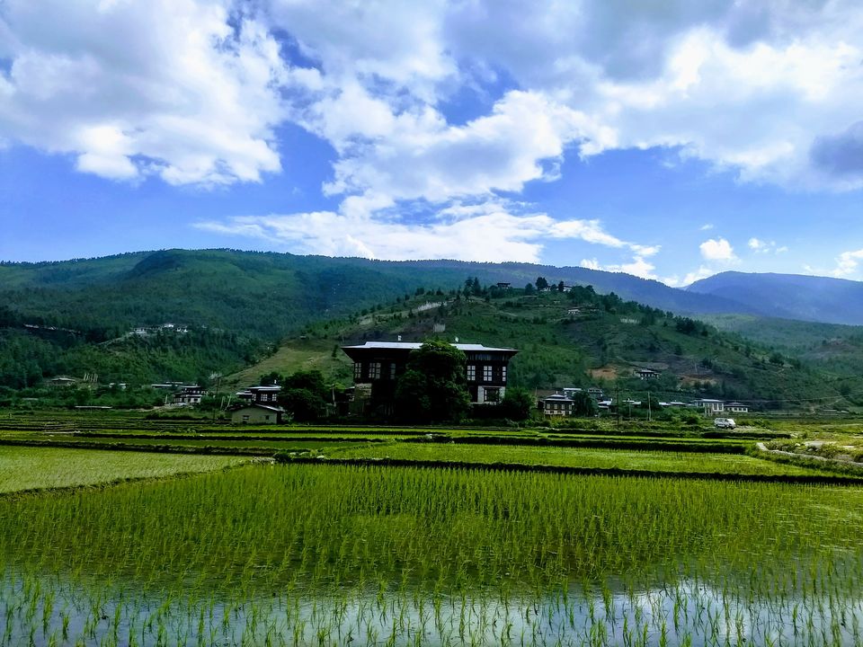 Photo of Bhutan: Let's Swipe a Smile Clean off Carbon 9/11 by Saheli Bera