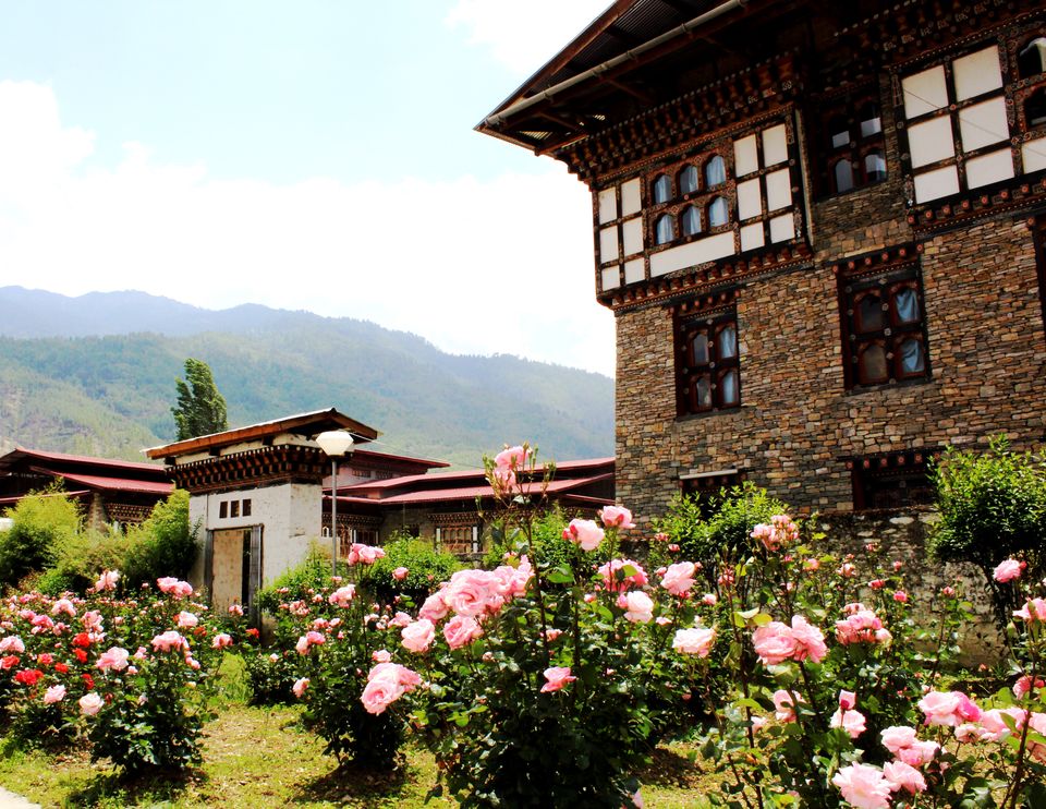 Photo of Bhutan: Let's Swipe a Smile Clean off Carbon 7/11 by Saheli Bera