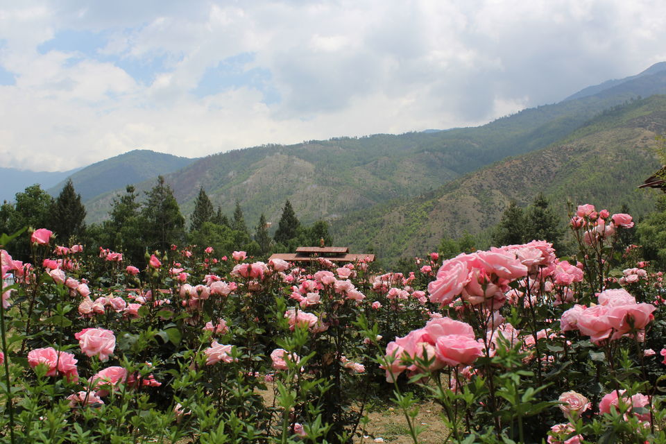Photo of Know Everything before Planning a Trip to Bhutan 5/13 by Saheli Bera