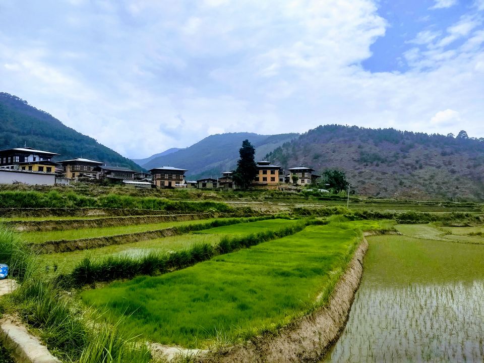 Photo of Chime Lhakhang, Bhutan by Saheli Bera