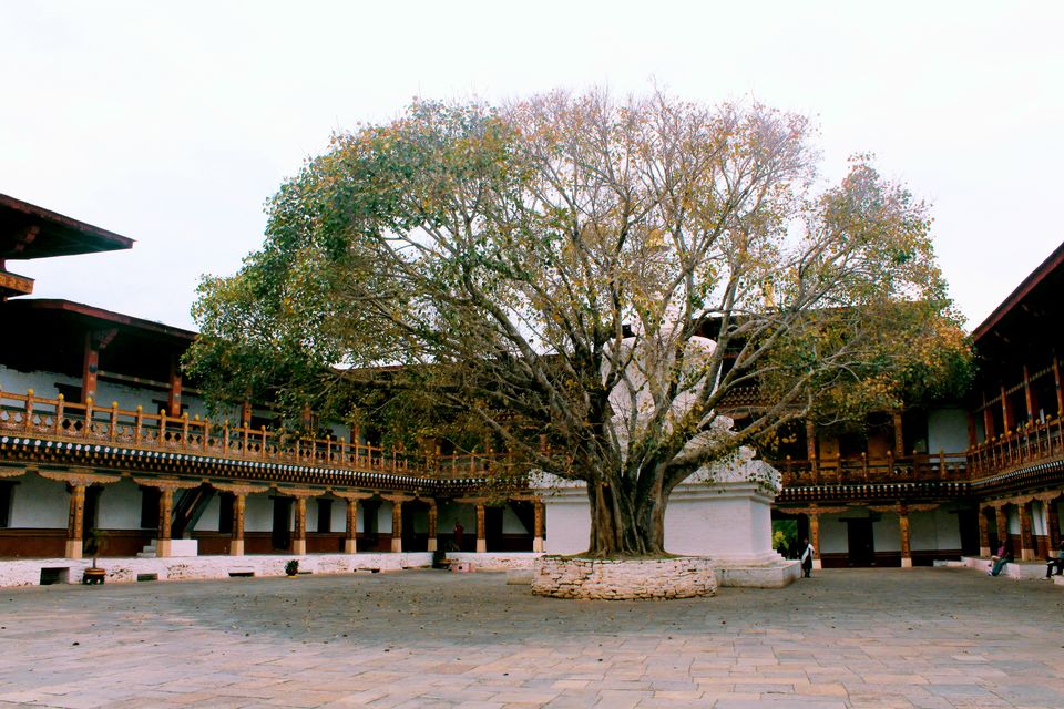 Photo of Know Everything before Planning a Trip to Bhutan by Saheli Bera