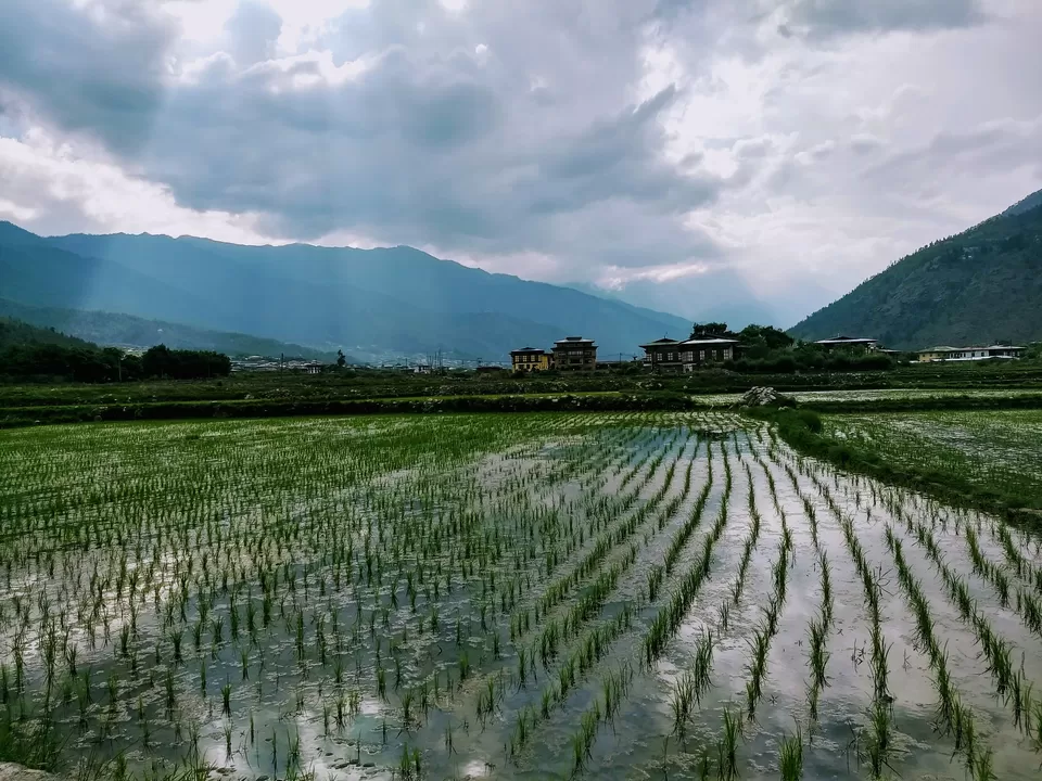 Photo of Know Everything before Planning a Trip to Bhutan by Saheli Bera