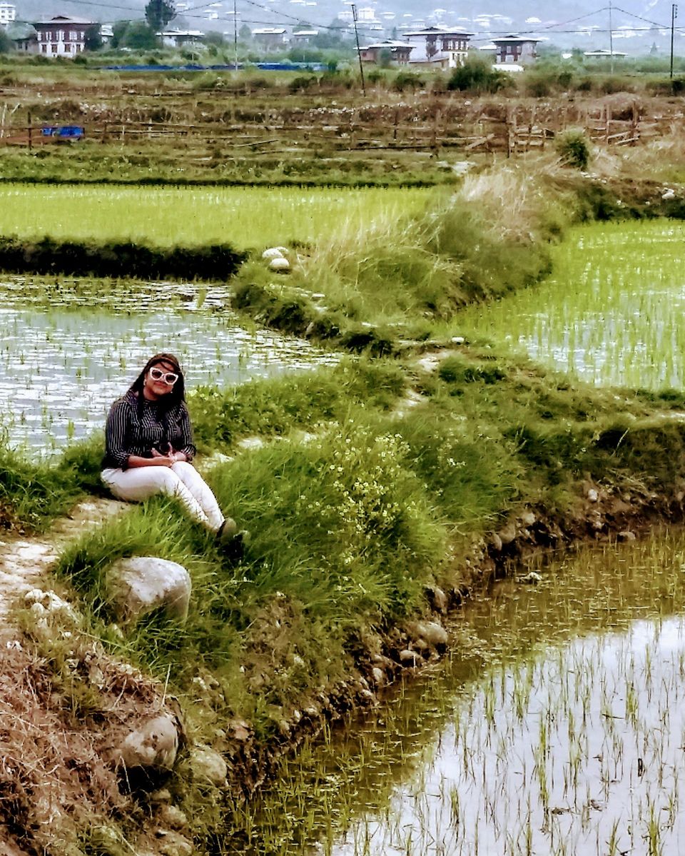 Photo of Know Everything before Planning a Trip to Bhutan by Saheli Bera
