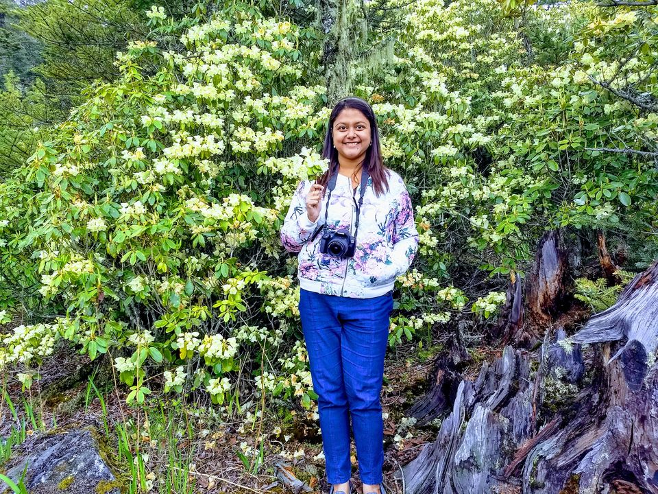 Photo of Chele La, Bhutan by Saheli Bera