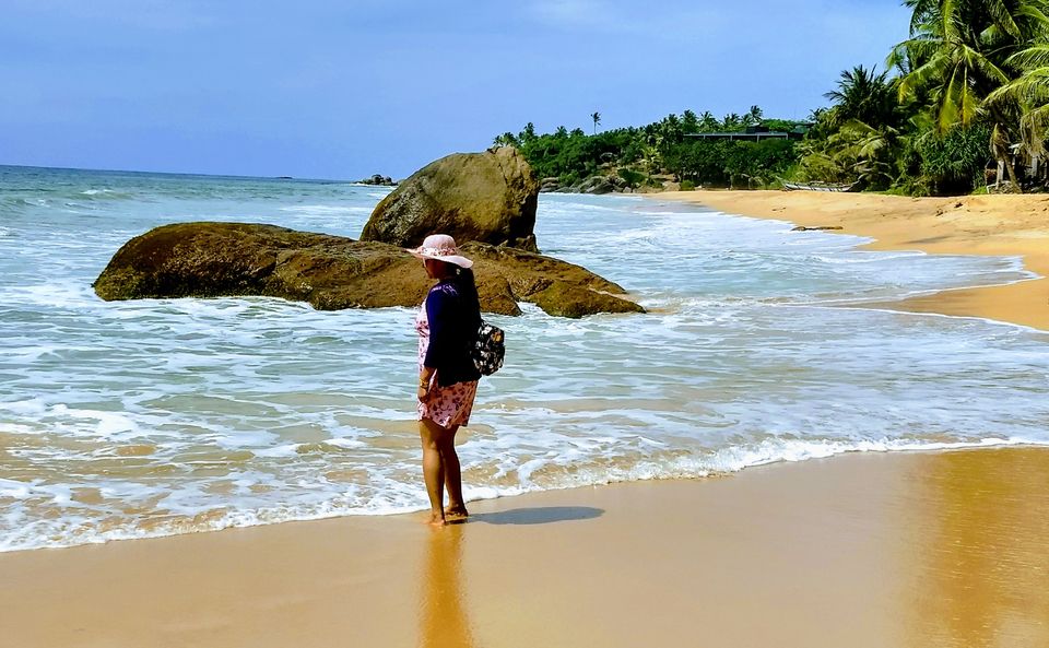 Photo of Sri Lanka: A Complete Travel Guide to Cherish This Treasure of Tropics by Saheli Bera