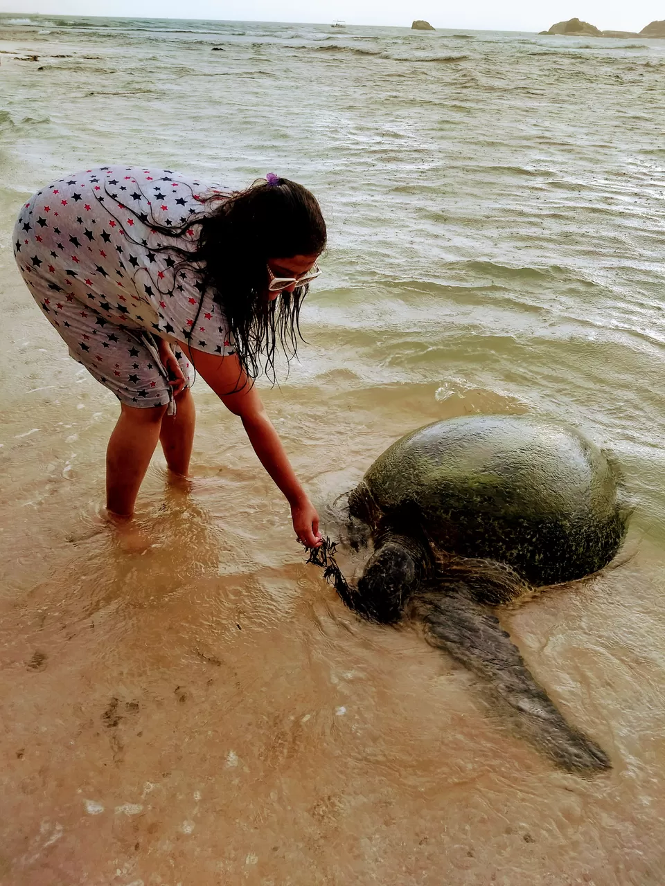 Photo of Hikkaduwa, Sri Lanka by Saheli Bera