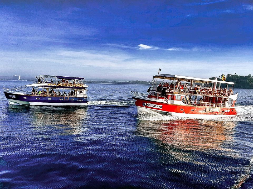Photo of Whale & Dolphin Watching by Paradise Beach Club, Harbour Road, Mirissa, Sri Lanka by Saheli Bera