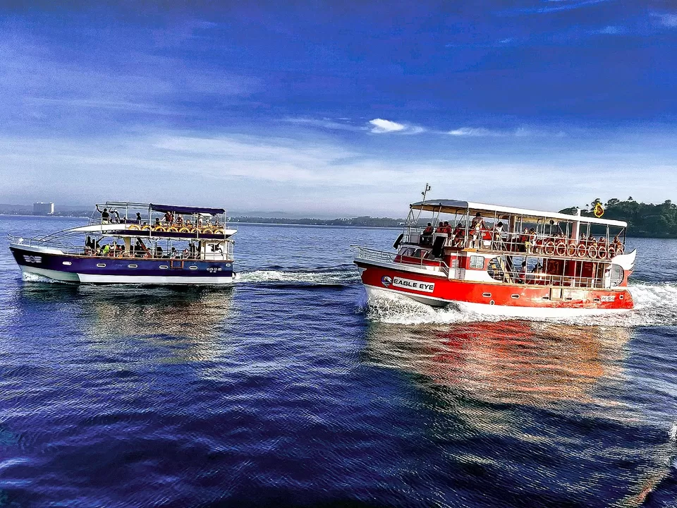 Photo of Whale & Dolphin Watching by Paradise Beach Club, Harbour Road, Mirissa, Sri Lanka by Saheli Bera