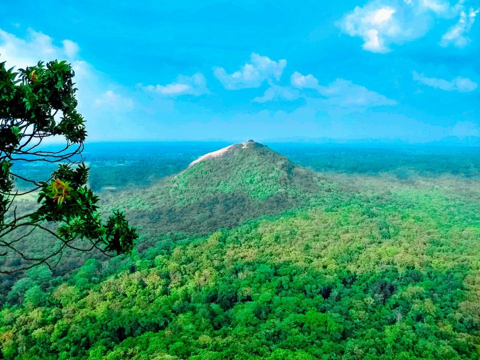 Photo of Sri Lanka: A Complete Travel Guide to Cherish This Treasure of Tropics by Saheli Bera