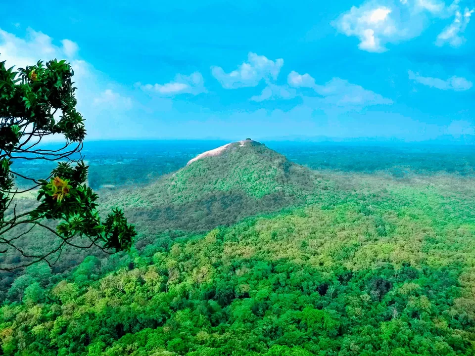 Photo of Sri Lanka: A Complete Travel Guide to Cherish This Treasure of Tropics by Saheli Bera