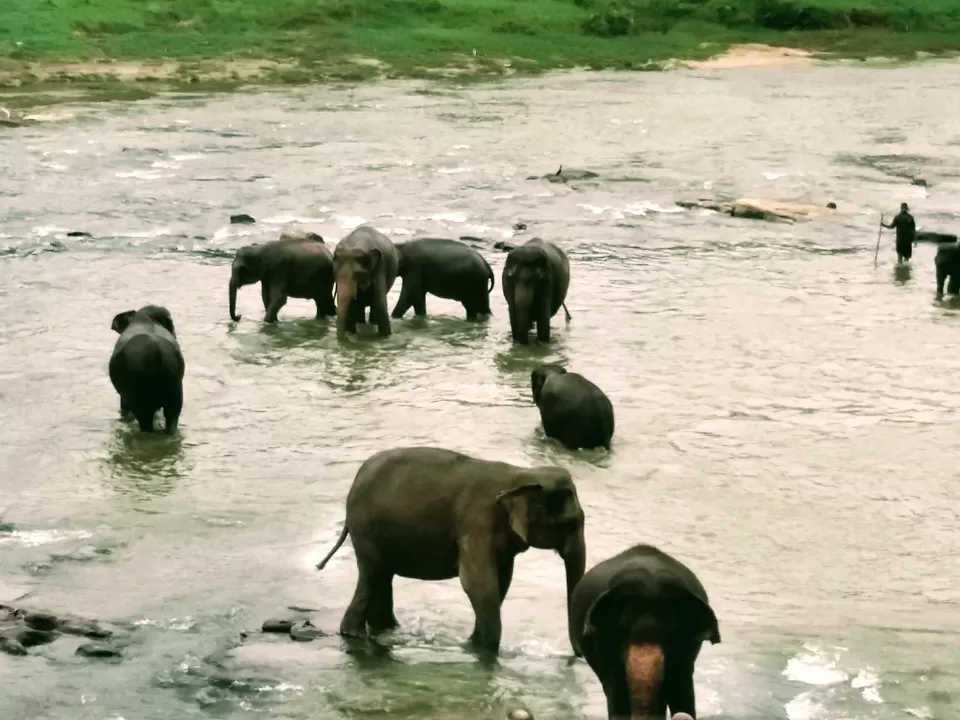 Photo of Sri Lanka: A Complete Travel Guide to Cherish This Treasure of Tropics by Saheli Bera