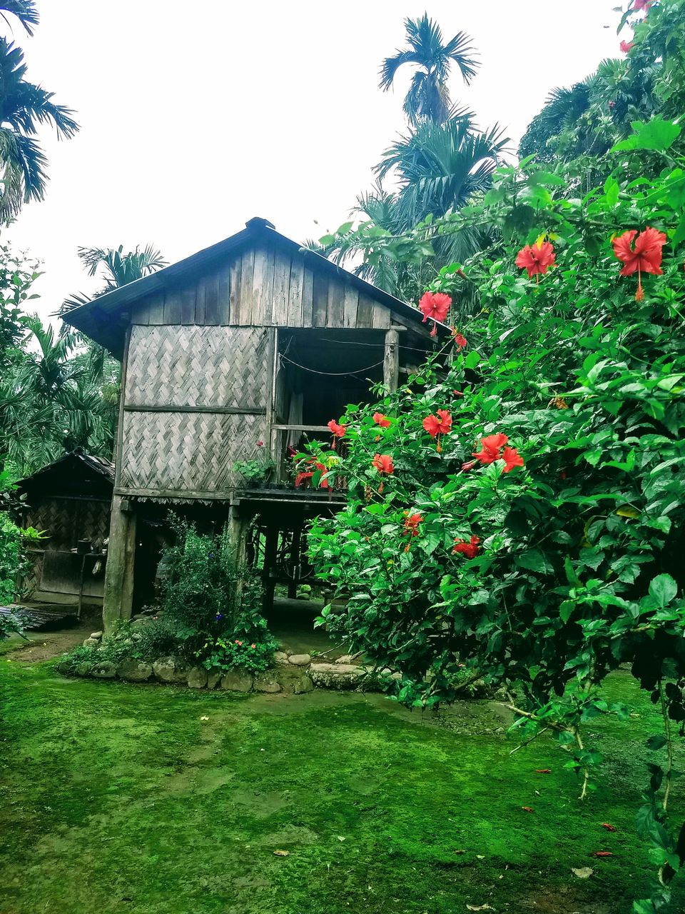 Photo of Explore The Secret, Picturesque Mountain Hamlets Nestled in Dooars Tea Gardens 1/2 by Saheli Bera