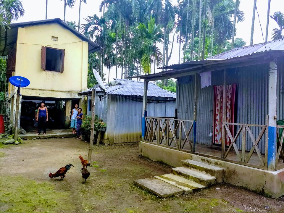Photo of Sipchu Shaheed Balidan Park, Road, Sipchu, Chapramari, Kumai, West Bengal, India by Saheli Bera