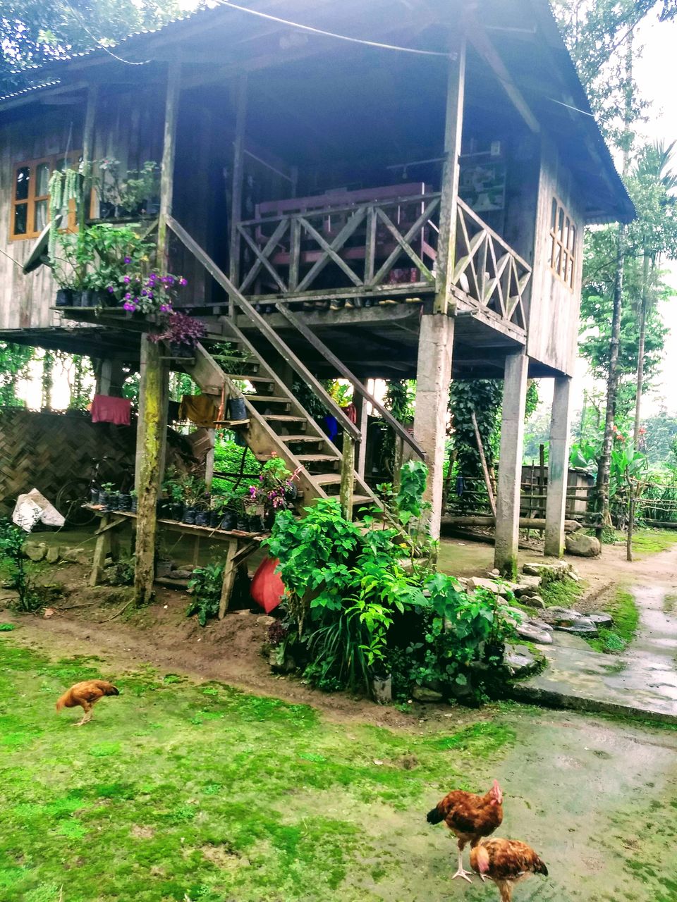 Photo of Explore The Secret, Picturesque Mountain Hamlets Nestled in Dooars Tea Gardens by Saheli Bera