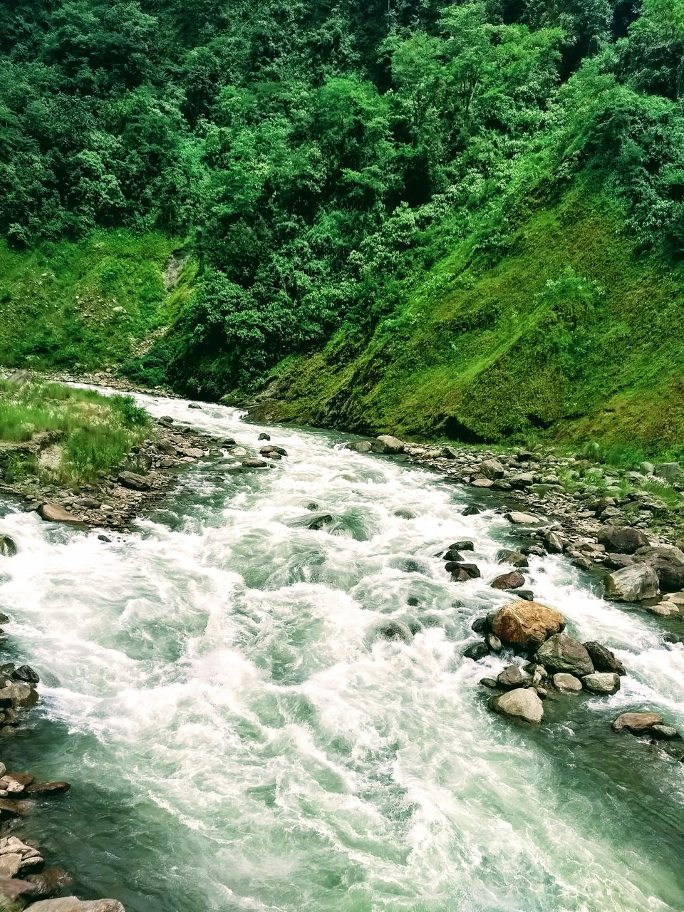 Photo of Explore The Secret, Picturesque Mountain Hamlets Nestled in Dooars Tea Gardens by Saheli Bera