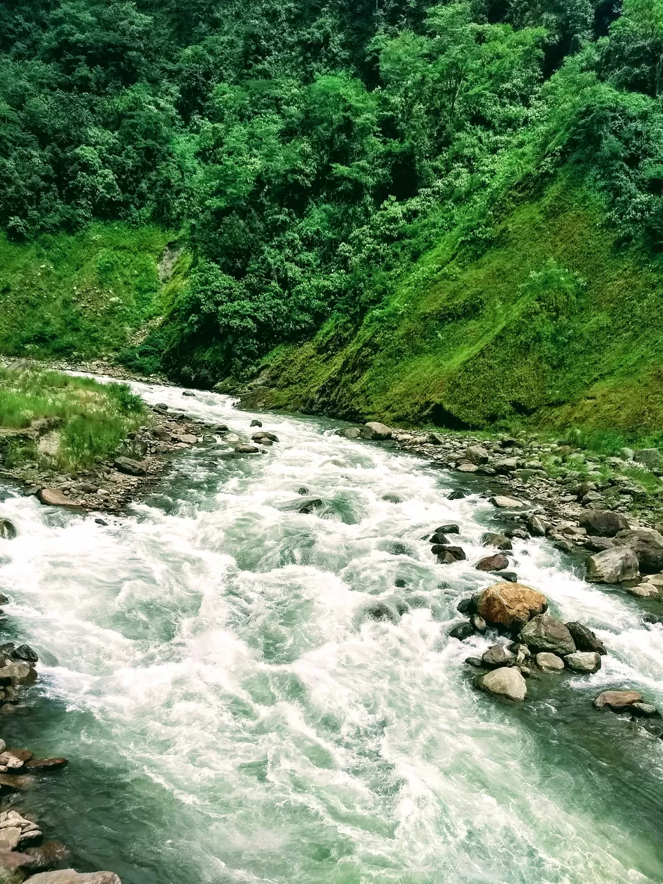 Photo of Explore The Secret, Picturesque Mountain Hamlets Nestled in Dooars Tea Gardens by Saheli Bera