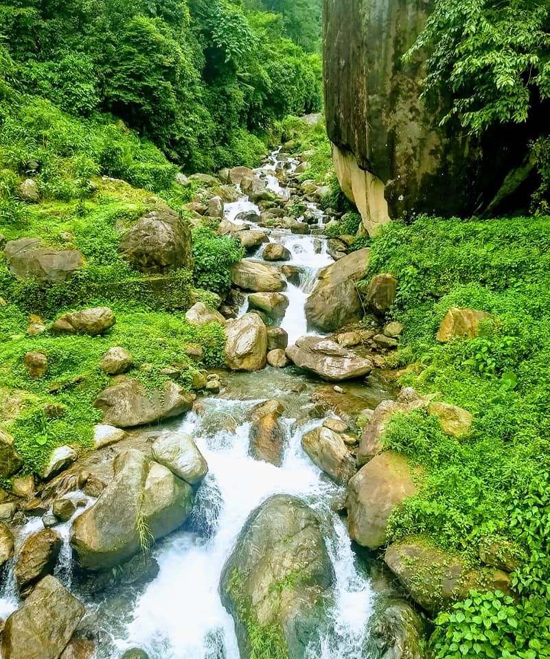 Photo of Explore The Secret, Picturesque Mountain Hamlets Nestled in Dooars Tea Gardens by Saheli Bera