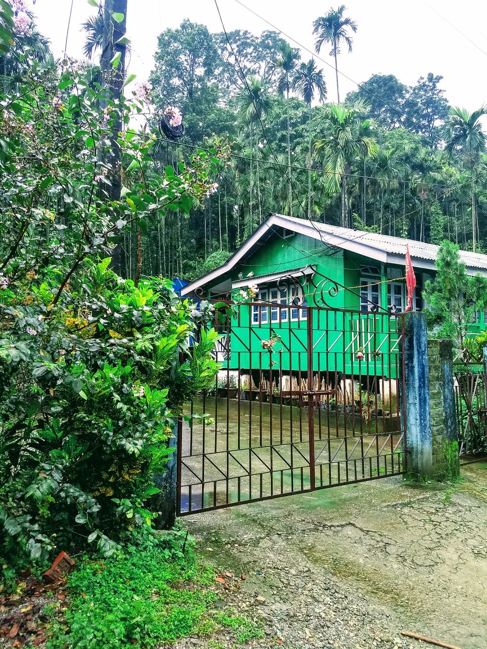 Photo of Samsing Khasmahal, West Bengal, India by Saheli Bera
