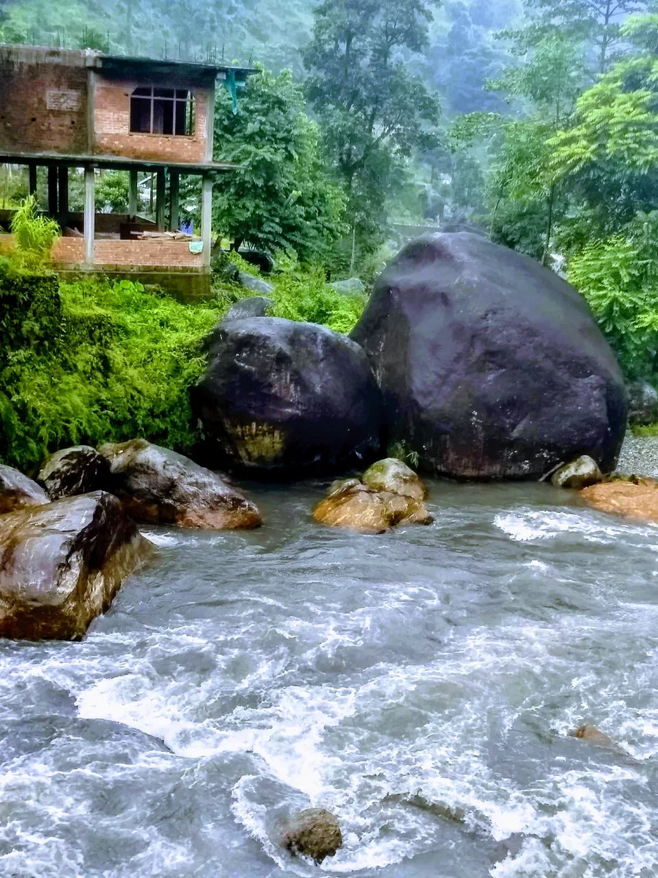 Photo of Explore The Secret, Picturesque Mountain Hamlets Nestled in Dooars Tea Gardens by Saheli Bera