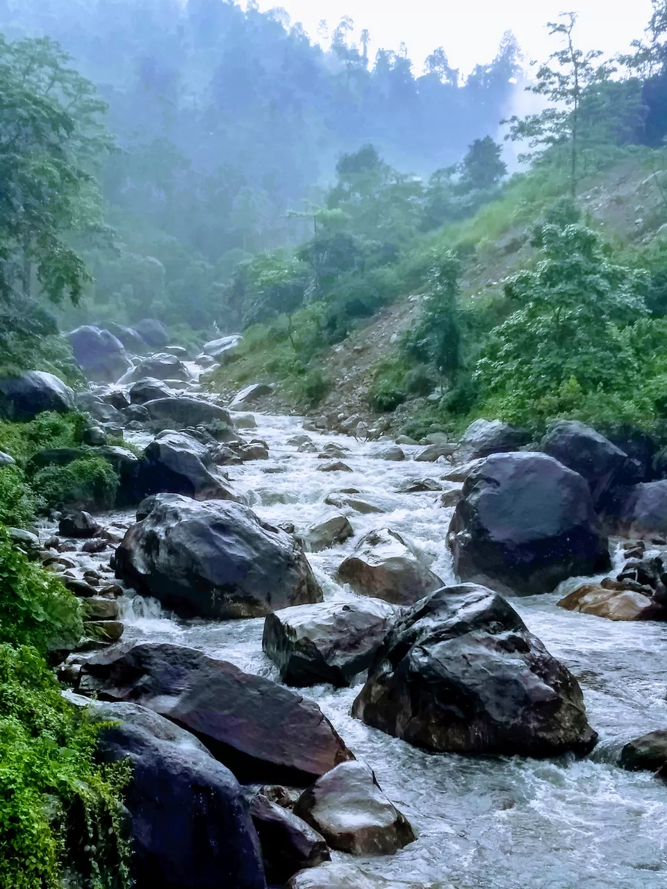 Photo of Explore The Secret, Picturesque Mountain Hamlets Nestled in Dooars Tea Gardens by Saheli Bera