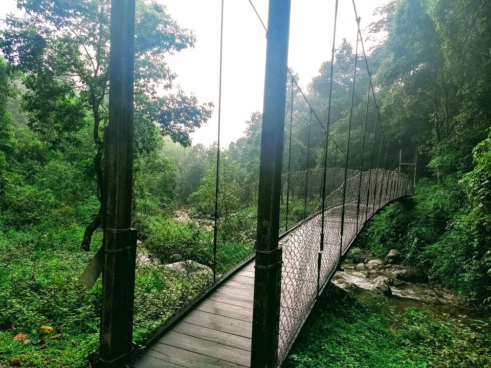Photo of Suntalekhola, Samsing WBFDC Tourist Lodge, Eastnar Forest, West Bengal, India by Saheli Bera