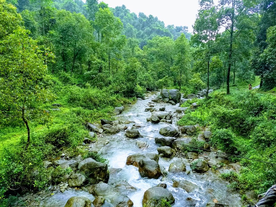 Photo of Suntalekhola, Samsing WBFDC Tourist Lodge, Eastnar Forest, West Bengal, India by Saheli Bera