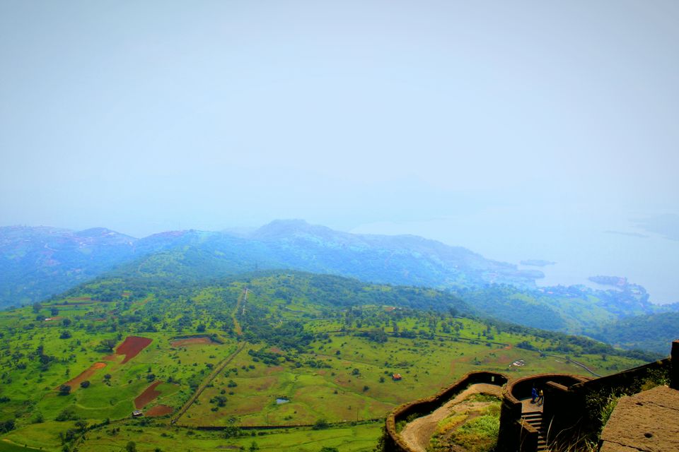 Photo of I Bet you Don't know About This Hidden Valley of Flower Just Few Hours Away from Mumbai 6/22 by Saheli Bera