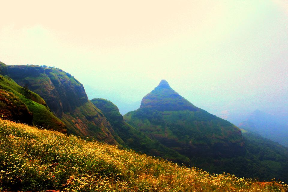 Photo of I Bet you Don't know About This Hidden Valley of Flower Just Few Hours Away from Mumbai 16/22 by Saheli Bera