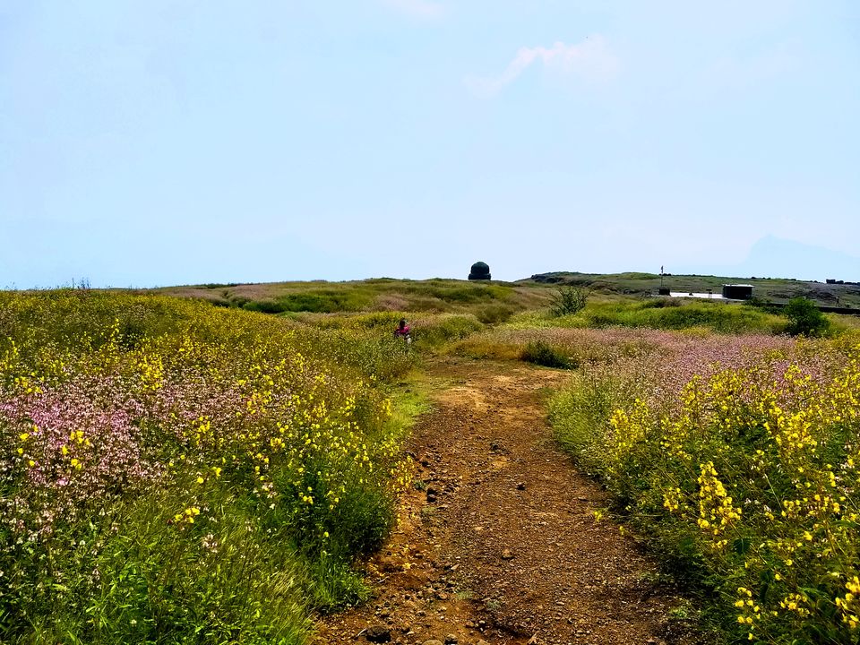 Photo of I Bet you Don't know About This Hidden Valley of Flower Just Few Hours Away from Mumbai 17/22 by Saheli Bera