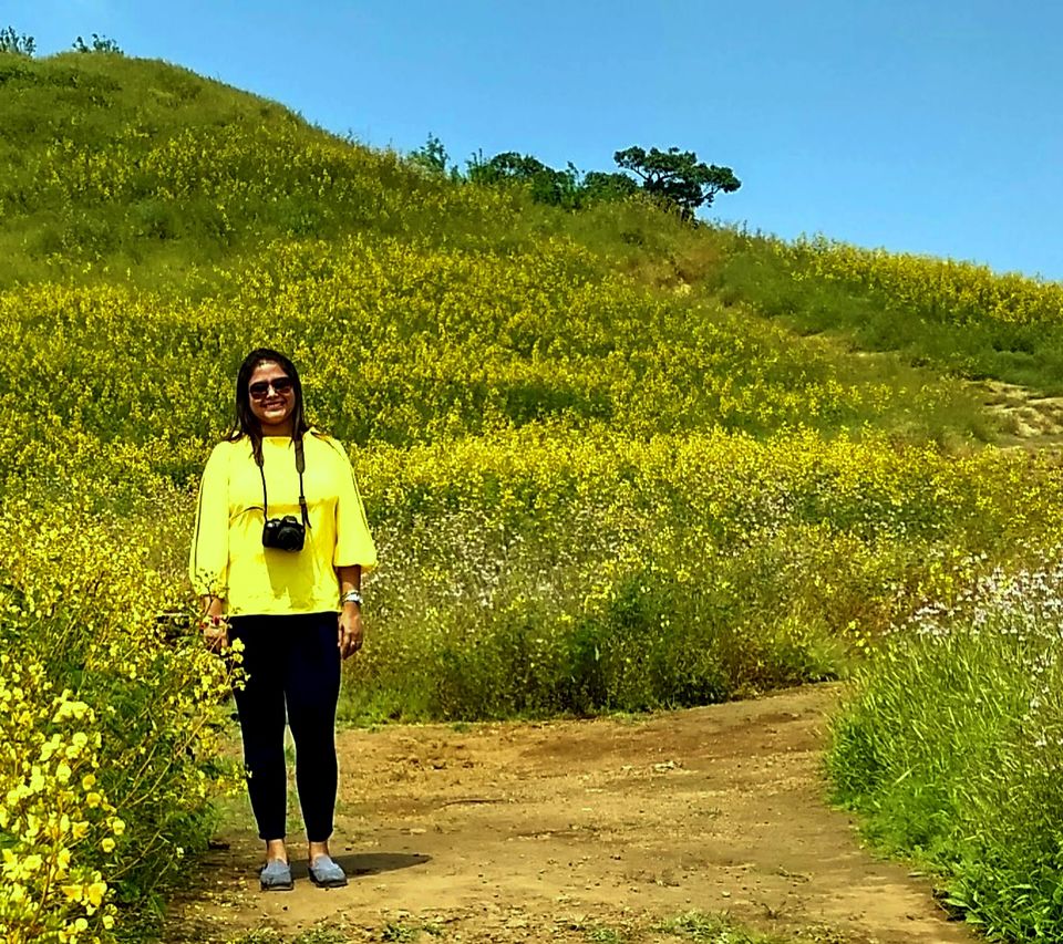 Photo of I Bet you Don't know About This Hidden Valley of Flower Just Few Hours Away from Mumbai 19/22 by Saheli Bera