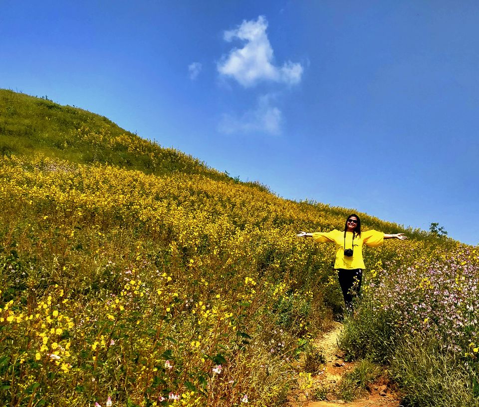 Photo of I Bet you Don't know About This Hidden Valley of Flower Just Few Hours Away from Mumbai 20/22 by Saheli Bera