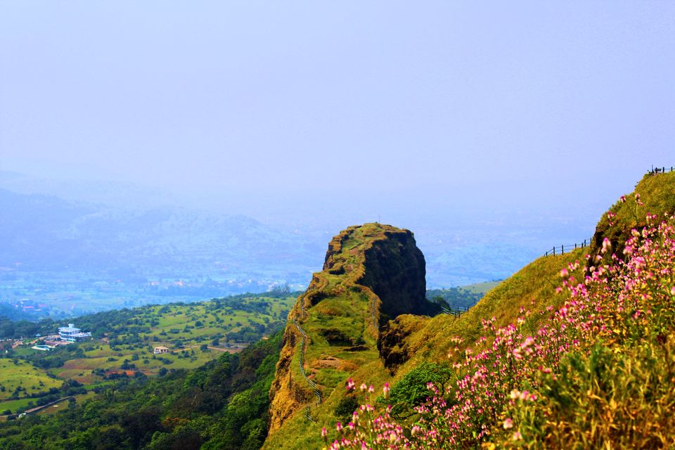 Photo of I Bet you Don't know About This Hidden Valley of Flower Just Few Hours Away from Mumbai 21/22 by Saheli Bera