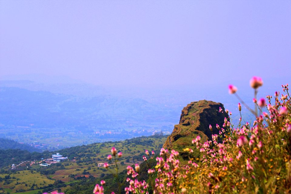 Photo of I Bet you Don't know About This Hidden Valley of Flower Just Few Hours Away from Mumbai 22/22 by Saheli Bera
