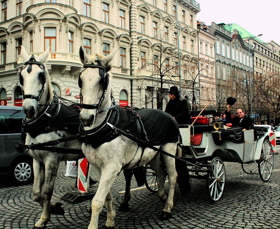 Photo of Wenceslas Square, New Town, Prague 1, Czechia by Saheli Bera