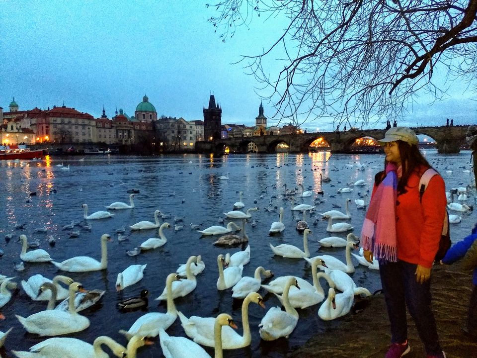 Photo of Vltava, Czechia by Saheli Bera
