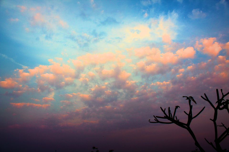 Photo of Dear Virus, Thanks for Pressing the Restart Button- An Open Letter from Unpolluted Sky 4/6 by Saheli Bera