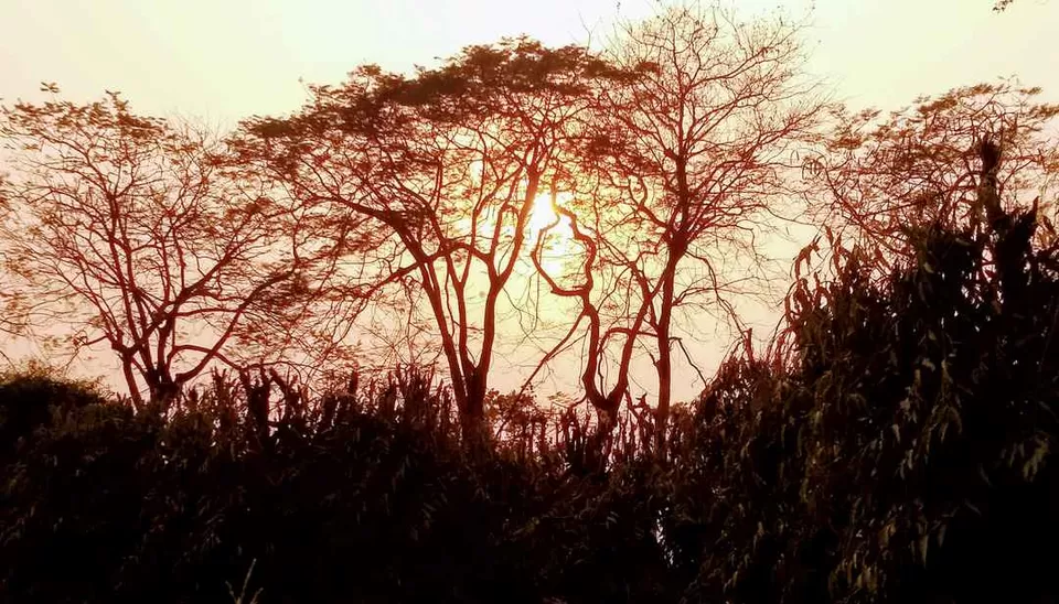 Photo of Explore The Secret, Picturesque Mountain Hamlets Nestled in Dooars Tea Gardens by Saheli Bera