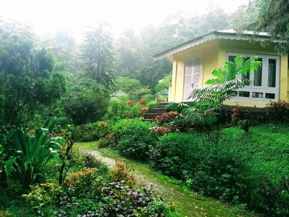 Photo of Explore The Secret, Picturesque Mountain Hamlets Nestled in Dooars Tea Gardens by Saheli Bera