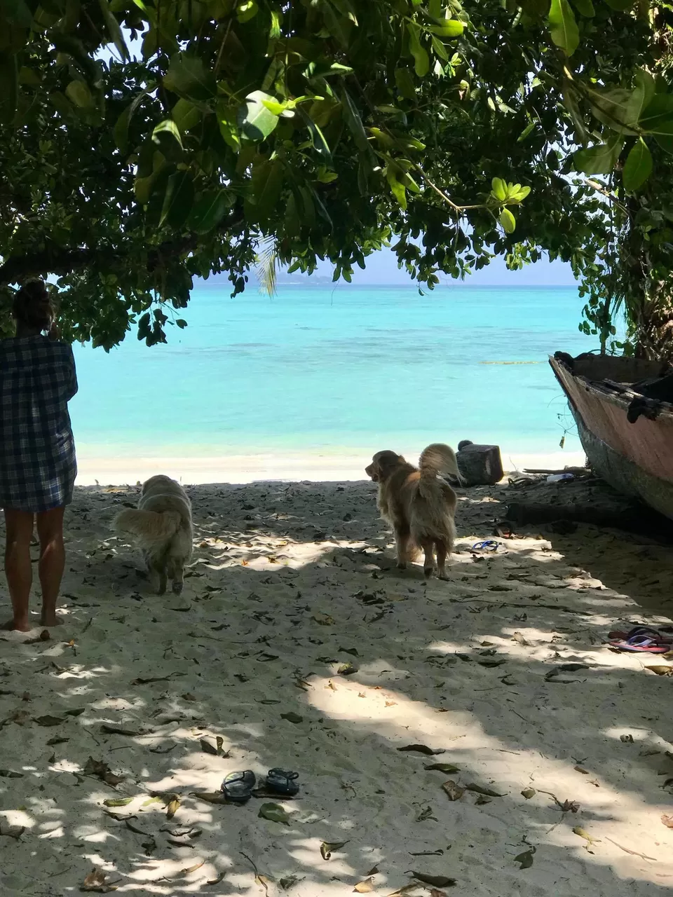 Photo of Andaman and Nicobar Islands By Divyangna (Nomadic_Missy)