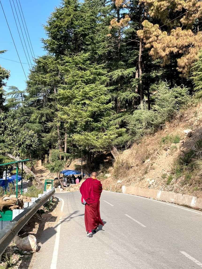 Photo of McLeod Ganj, Dharamshala, Himachal Pradesh, India by Divyangna (Nomadic_Missy)