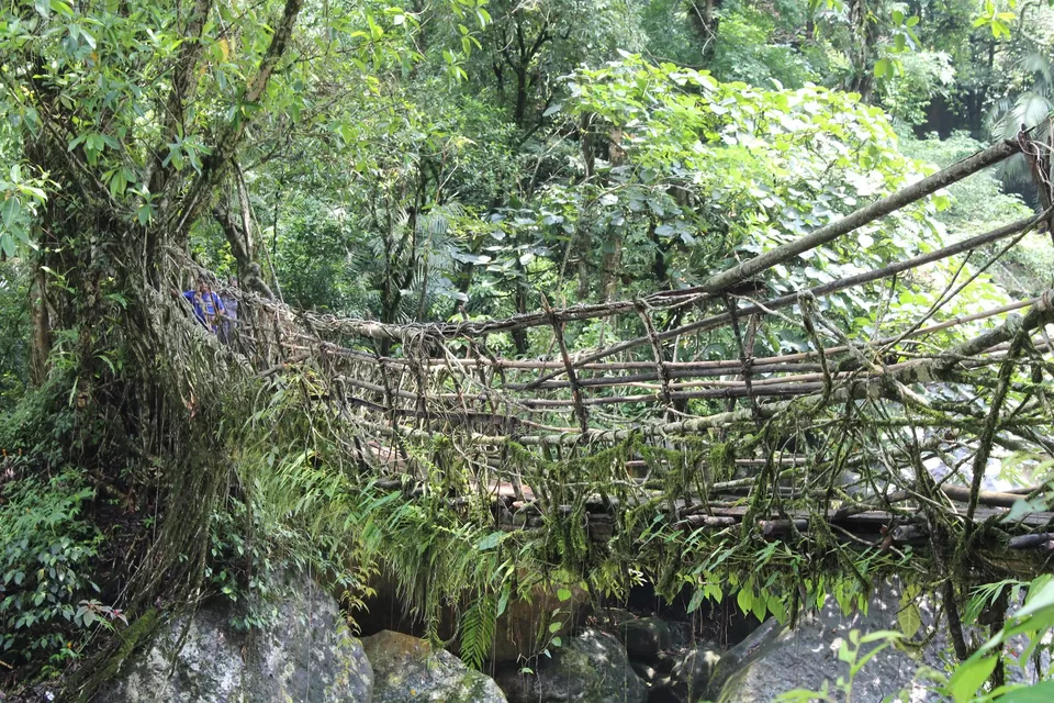 Photo of Nongriat, Meghalaya, India by Divyangna (Nomadic_Missy)