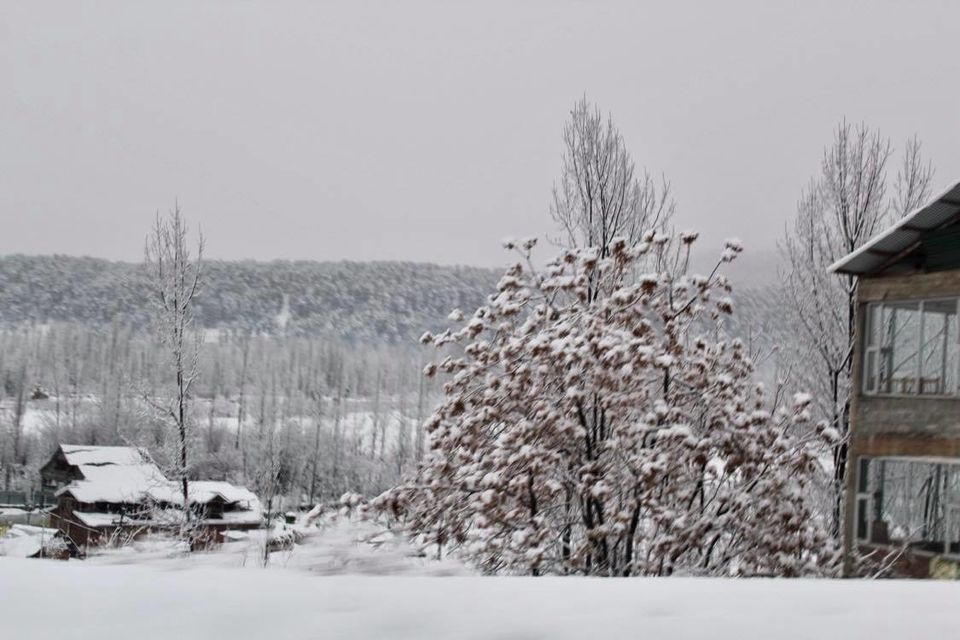 Photo of Srinagar by Nomadic Missy