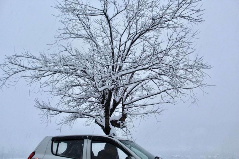 Photo of Srinagar by Nomadic Missy