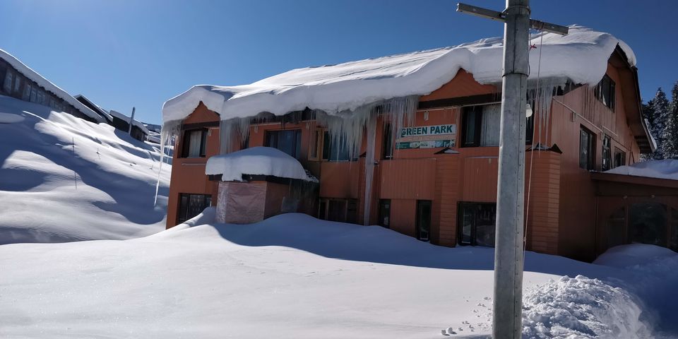 Photo of Gulmarg in January: an Unforgettable Travel Experience in the serene snow by Nomadic Missy