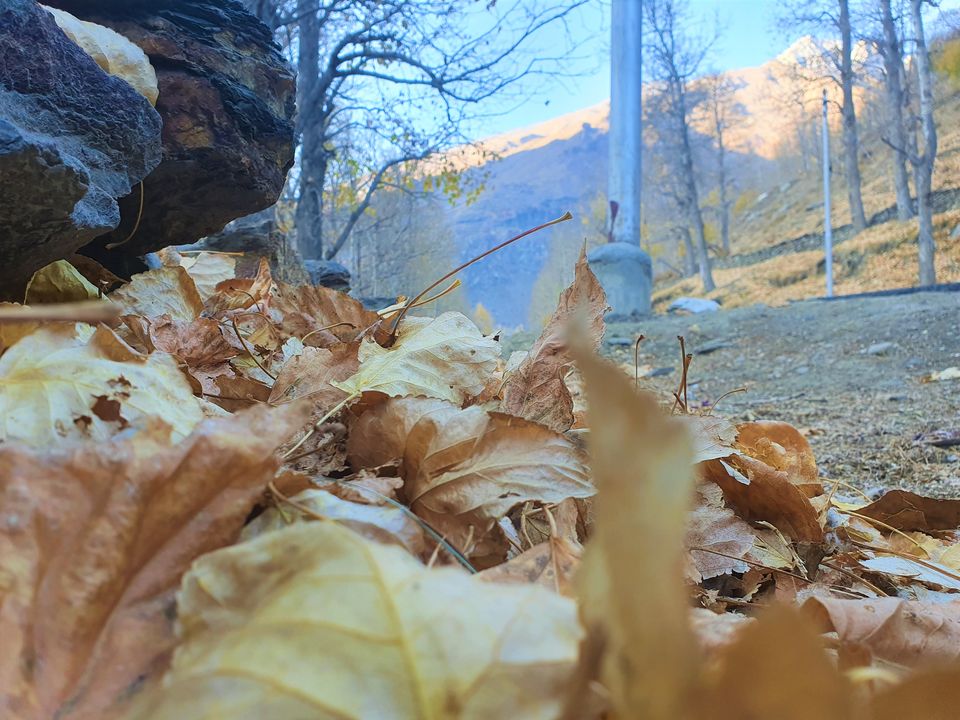 Photo of Feel The Magic of Autumn in Sissu, Spiti's Best kept Secret 3/3 by Divyangna (Nomadic_Missy)